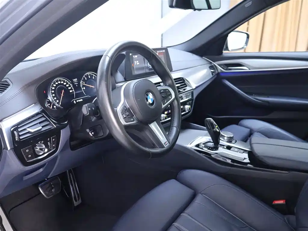 BMW 5 Series (Import) 2018 525i M Sport Package фото 11