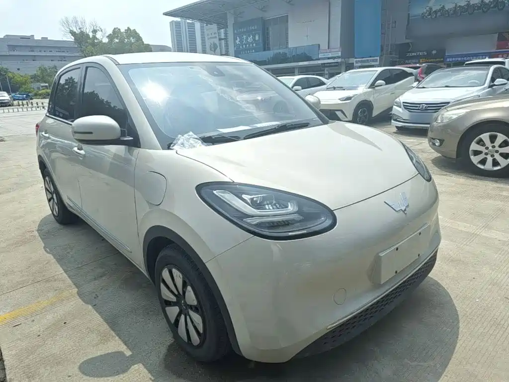 Wuling Motors Wuling Bingo 2023 2023 203km Comfort Version