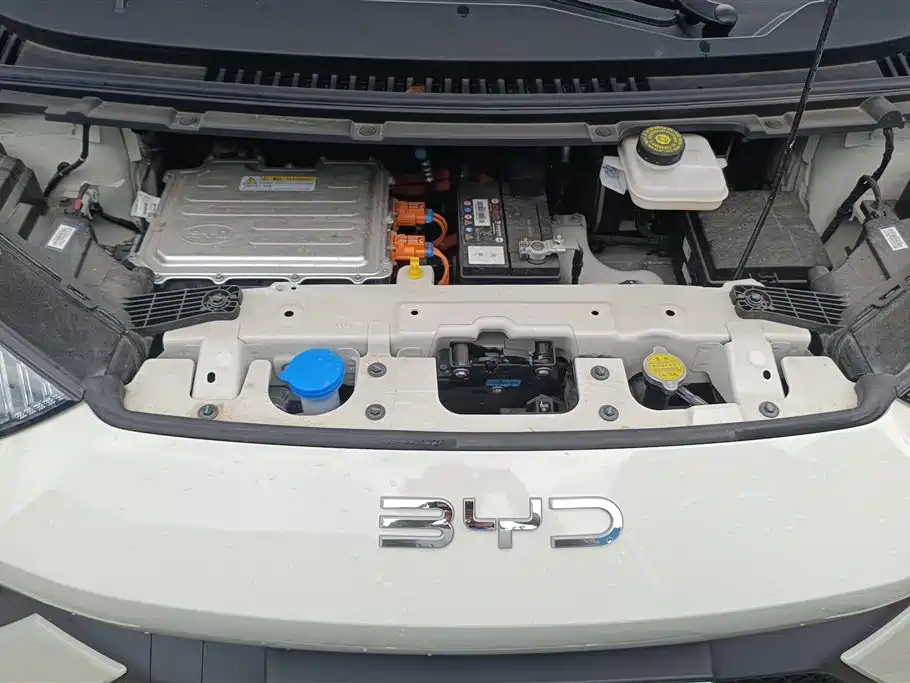 BYD Seagull 2025 305km Vitality фото 10