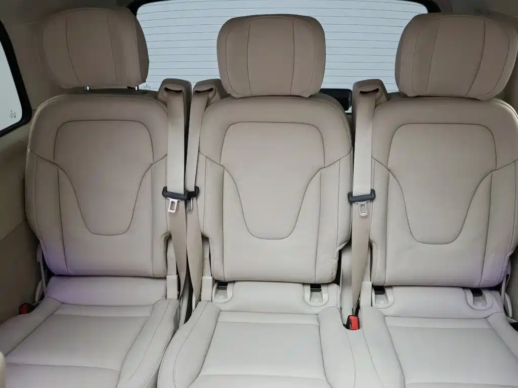 Mercedes-Benz V-Class 2025 2024 V 300 L Long Wheelbase Luxury Edition