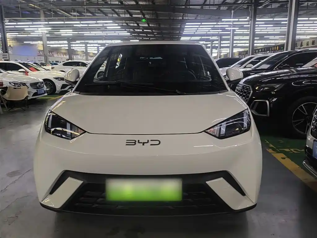 BYD Seagull 2024 Glory Edition 305km Freedom Edition фото 3