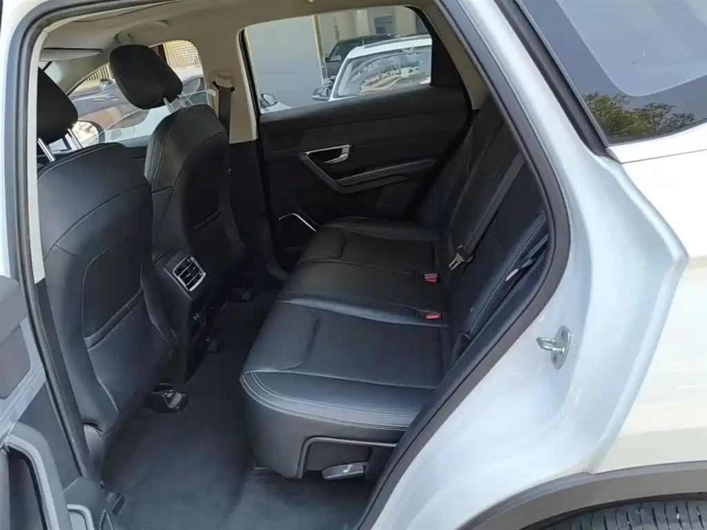 BYD Song Pro New Energy 2019 DM 1.5T 4WD Performance Luxury фото 17
