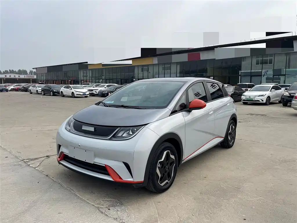 BYD Dolphin 2021 405km Freedom Edition