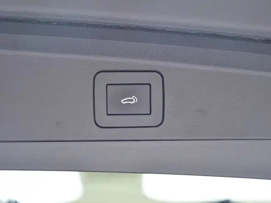 HiPhi X 2022 2021 Flagship Edition 4-Seater