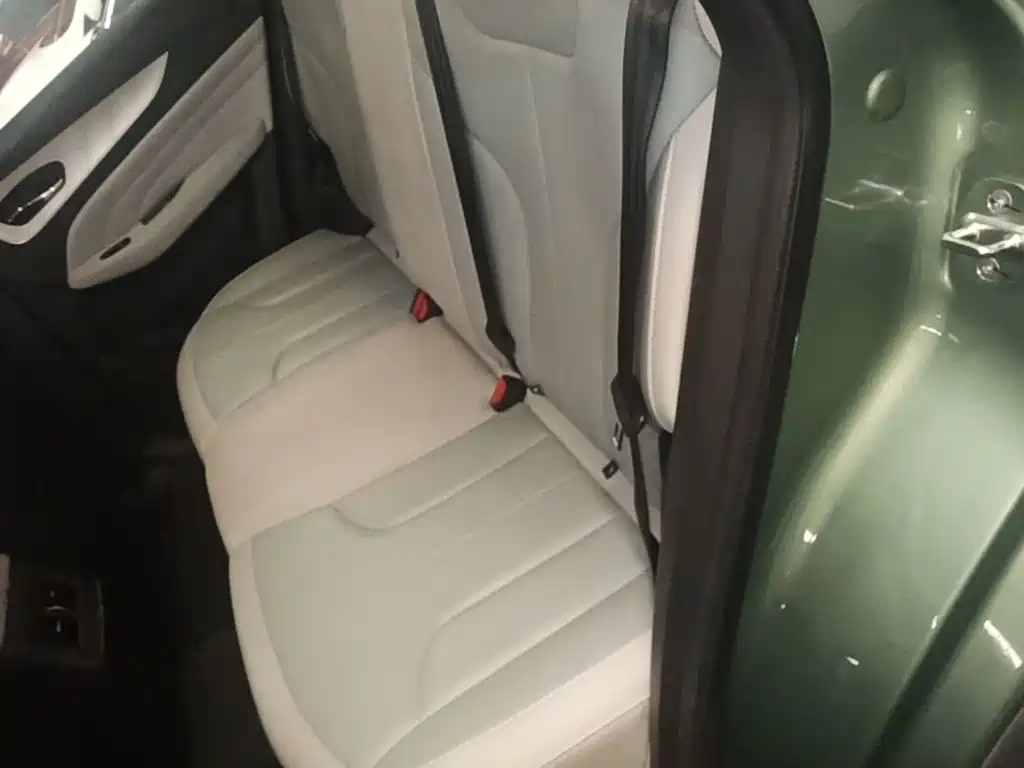Venucia DaV DD-i 2023 2023 110km iE Edition