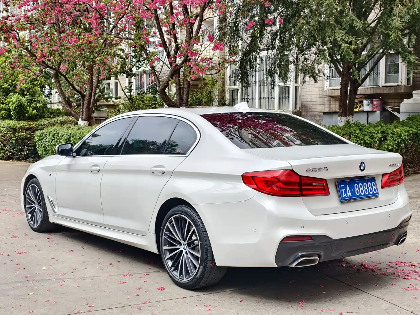 BMW 5 Series 2020 530Li Exclusive M Sport Package фото 9
