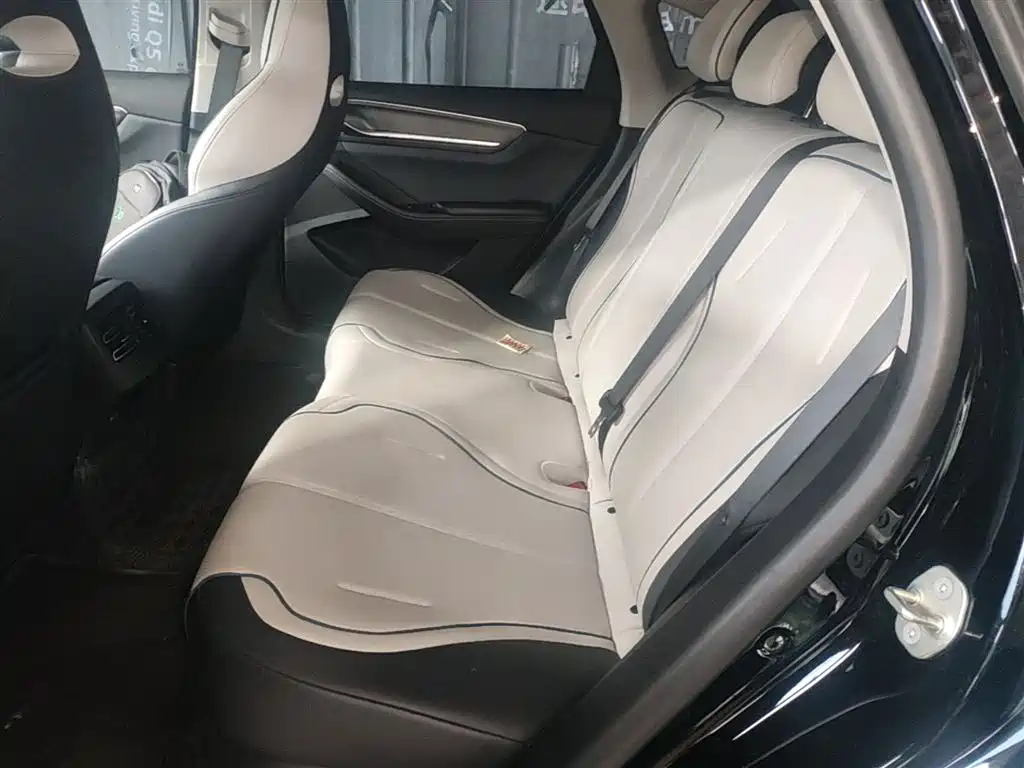 BYD Destroyer 05 2024 Glory Edition DM-i 55KM Luxury фото 17