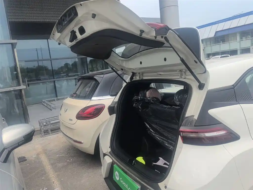 BYD Seagull 2025 Smart Drive Edition 305km Vitality Version фото 19