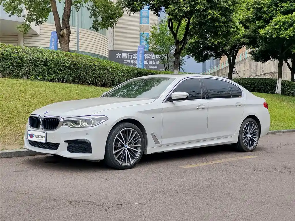 BMW 5 Series 2020 530Li Exclusive M Sport Package