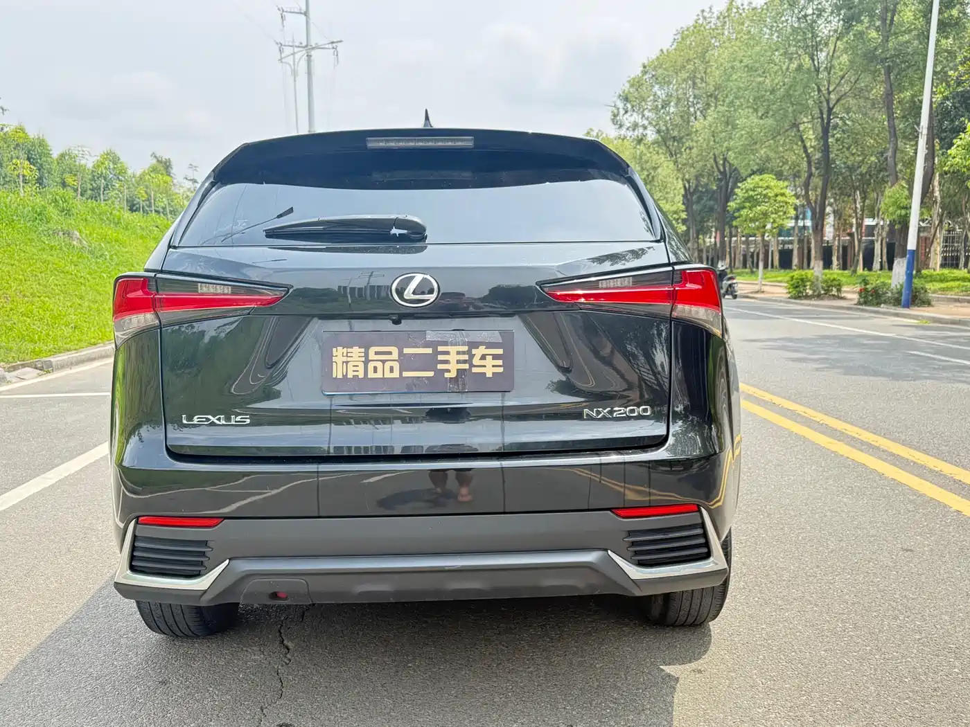 LEXUS NX
