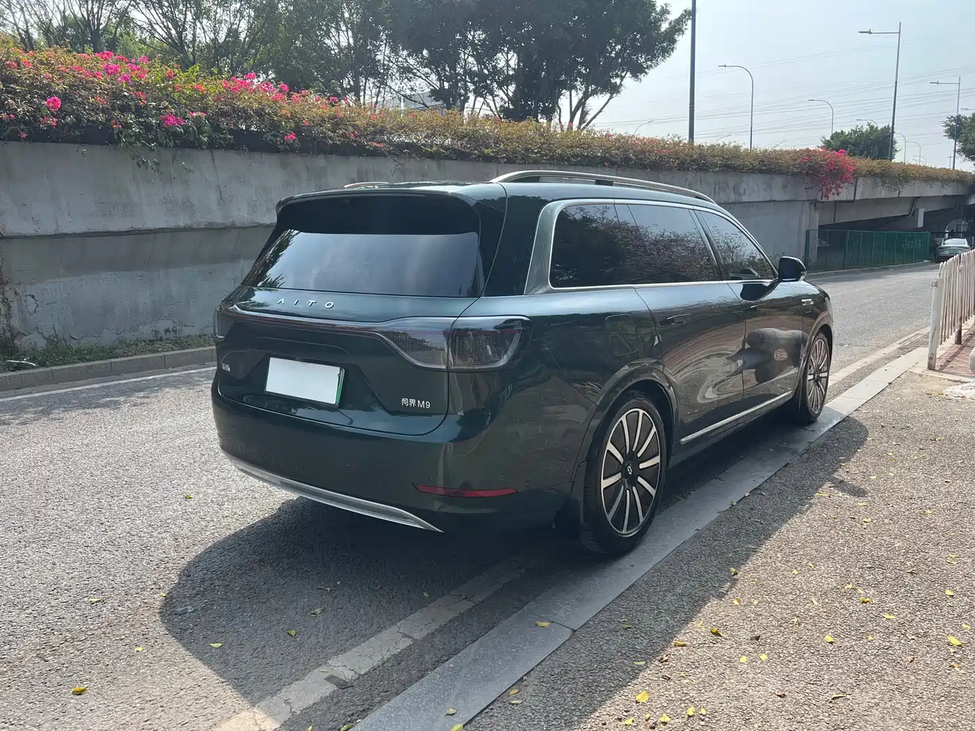 AITO Wenjie AITO M9 2024 Extended Range Ultra 42kWh 6-Seater фото 4