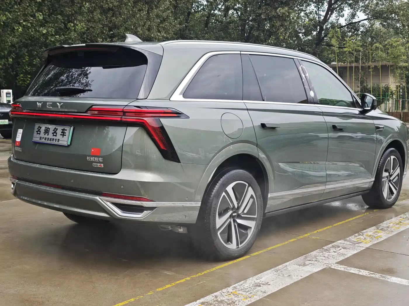 WEI PAI WEI BRAND BLUE MOUNTAIN