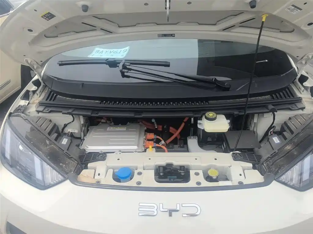 BYD Seagull 2025 Smart Drive Edition 305km Vitality Version фото 20