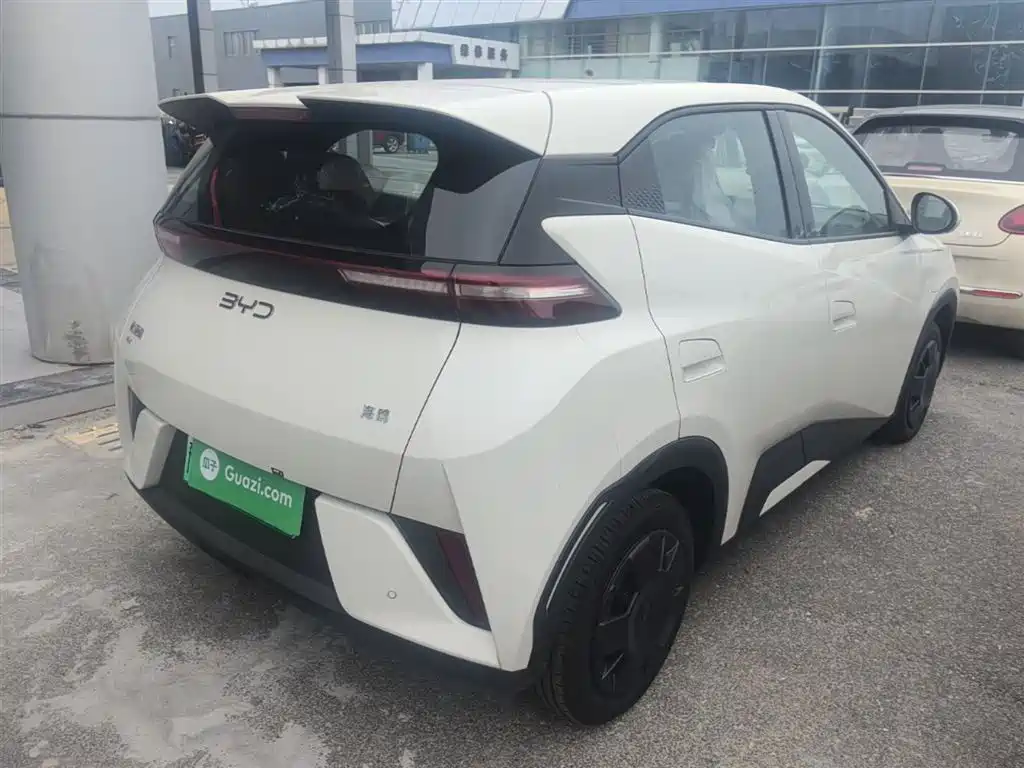 BYD Seagull 2025 Smart Drive Edition 305km Vitality Version фото 7