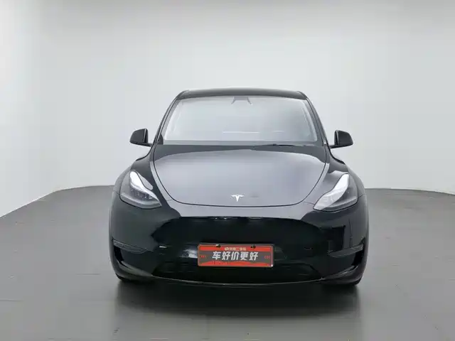 Tesla Model Y 2021 Standard Range Rear-Wheel Drive — фото 3