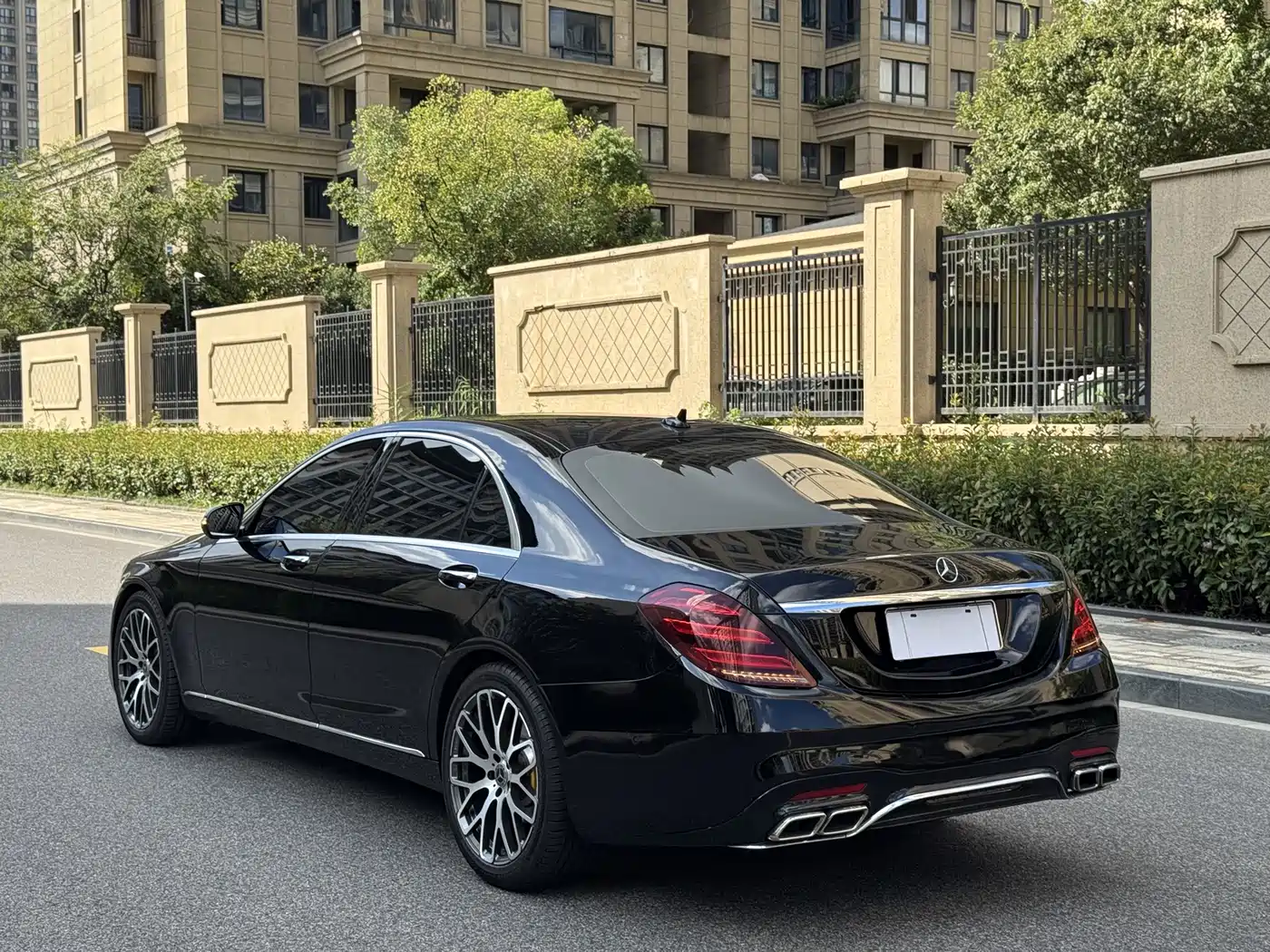 Mercedes-Benz S-Class 2020 S 350 L Business Edition Collector's Version фото 5