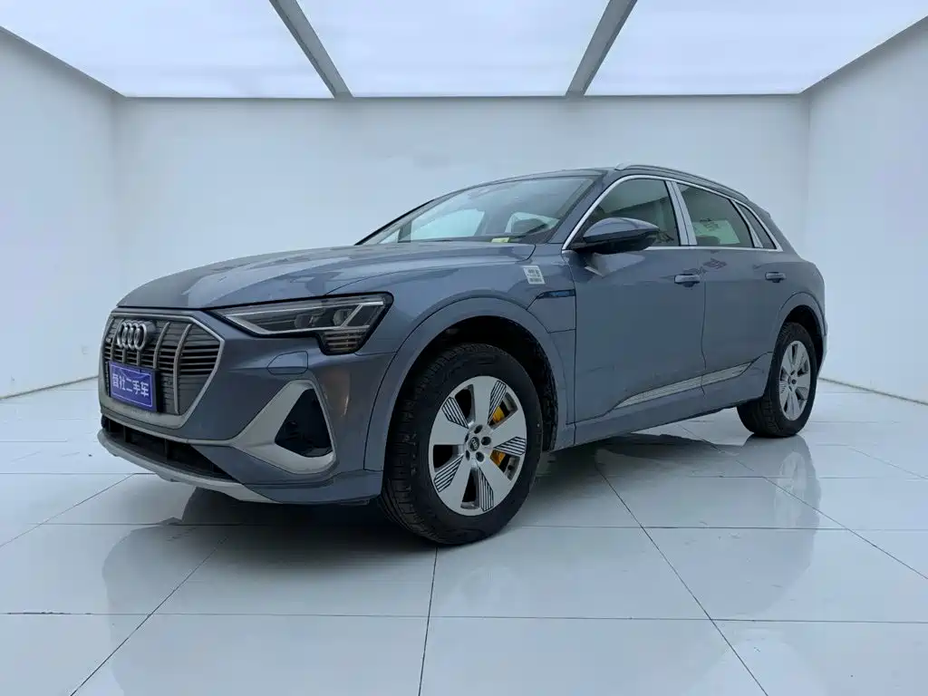 Audi e-tron 2026 2021 50 quattro Luxury