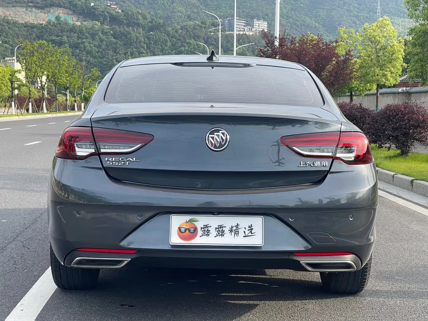 Buick Regal 2020 552T Luxury фото 12