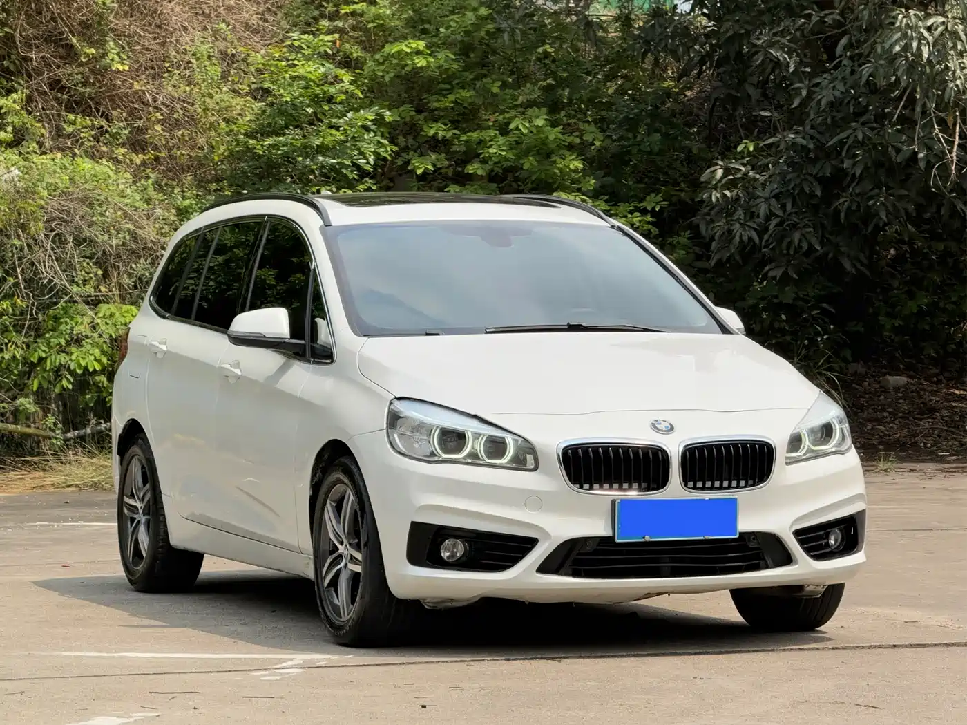 BMW 2 Series Gran Tourer 2015 218i Leading фото 3