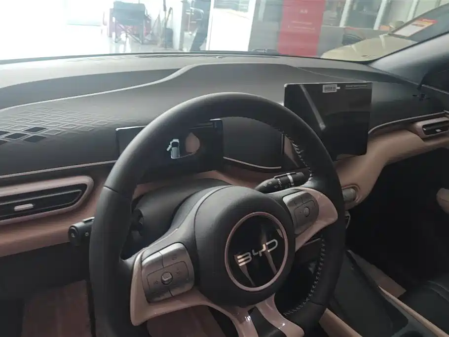 BYD Seagull 2024 Glory Edition 305km Freedom Edition фото 12