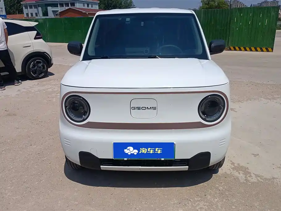 Geely Galaxy Panda 2023 Panda Mini 200km Endurance Bear фото 2
