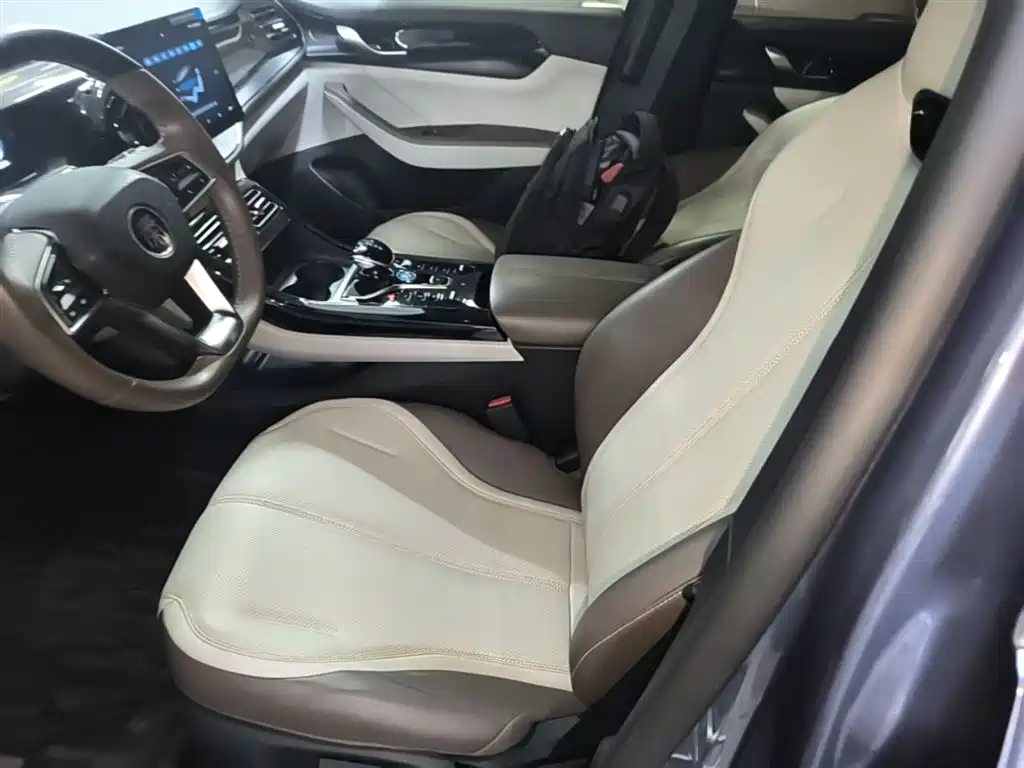 BYD Qin PLUS 2024 Glory Edition DM-i 55KM Leading фото 15