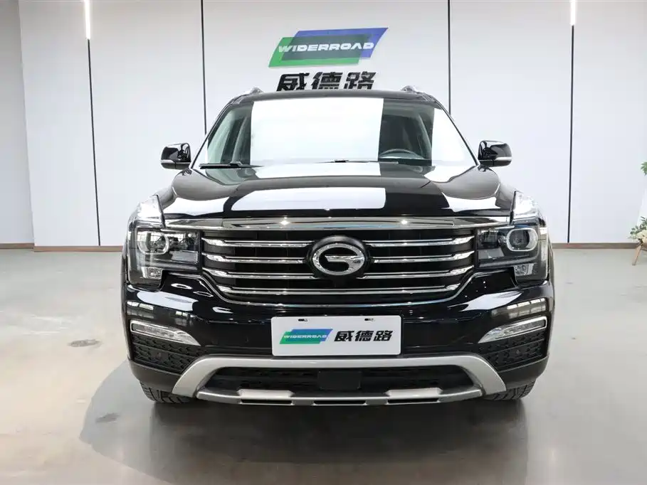 GAC Trumpchi Trumpchi GS8 2017 320T 2WD Luxury Edition (7-Seater) фото 2
