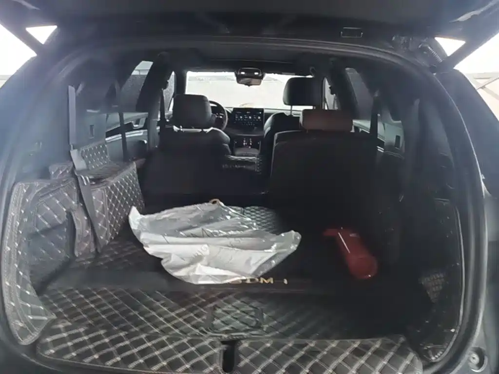BYD Tang New Energy 2021 DM-i 112KM Premium фото 19