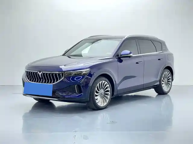 Voyah Auto VOYAH FREE 2021 AWD Standard Range Extender Exclusive Luxury Package
