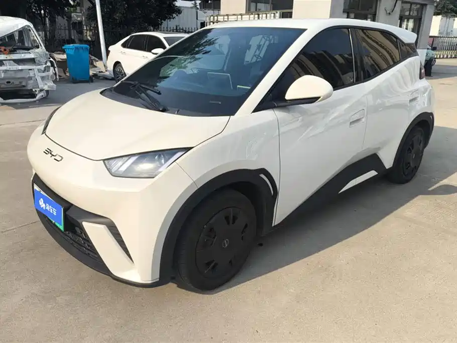 BYD Seagull 2024 Glory Edition 305km Vitality Edition