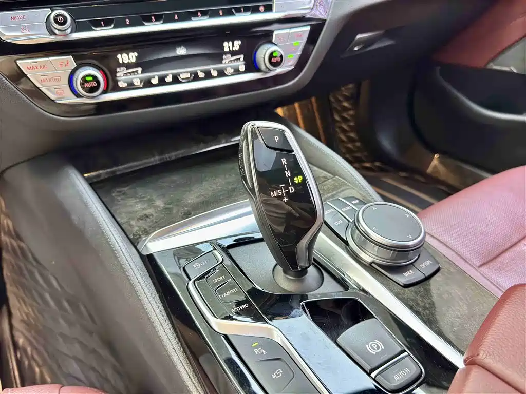 BMW 5 Series 2020 530Li Exclusive M Sport Package фото 9
