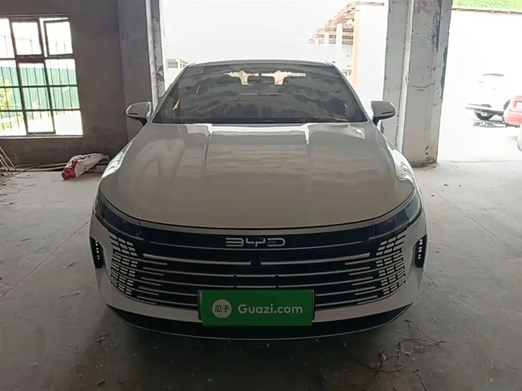 BYD Destroyer 05 2024 Glory Edition DM-i 55KM Luxury фото 3