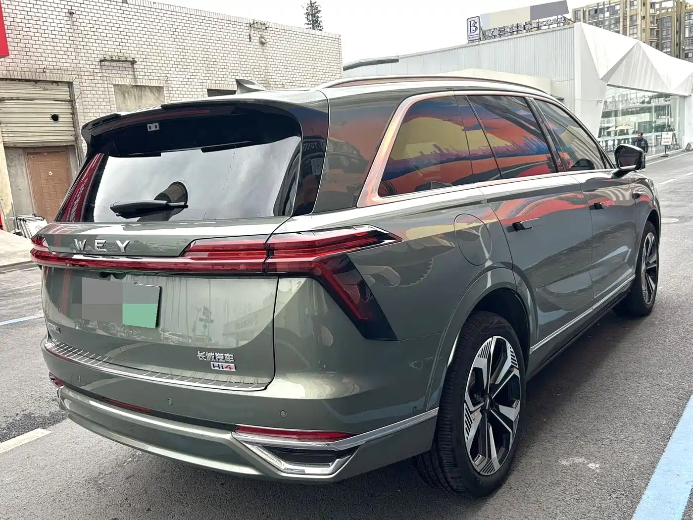 WEI PAI WEI BRAND BLUE MOUNTAIN