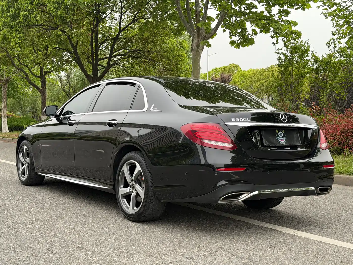 Mercedes-Benz E-Class 2019 E 300 L Sport Luxury фото 6