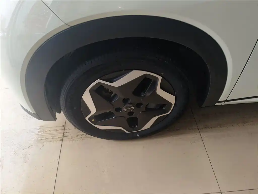 BYD Dolphin 2021 Model 405km Fashion Edition фото 23