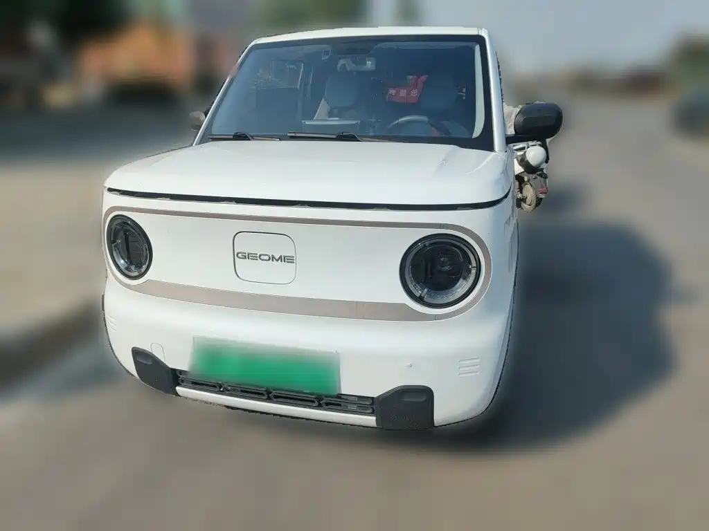 Geely Galaxy Panda 2023 — пригон из Китая