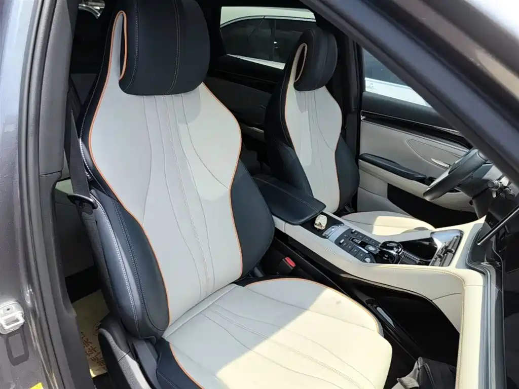 BYD Song PLUS PHEV 2021 EV Premium Model фото 20