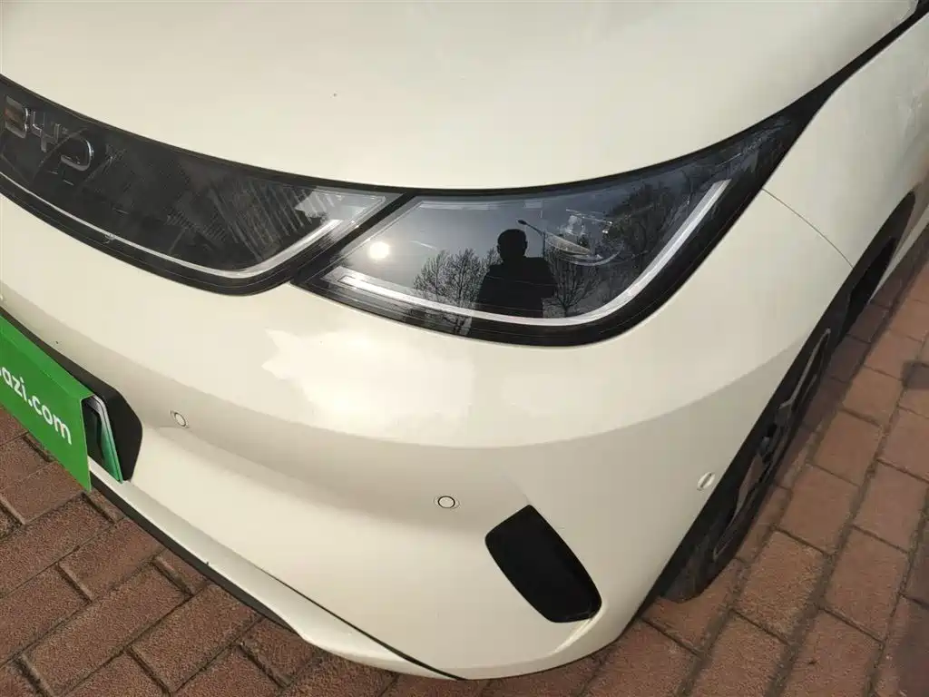 BYD Dolphin 2025 Smart Drive Edition 420km Freedom Version фото 24