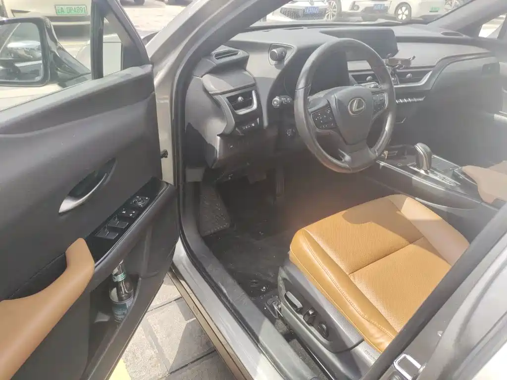 Lexus UX Electric 2021 2020 300e Pure Yue Edition