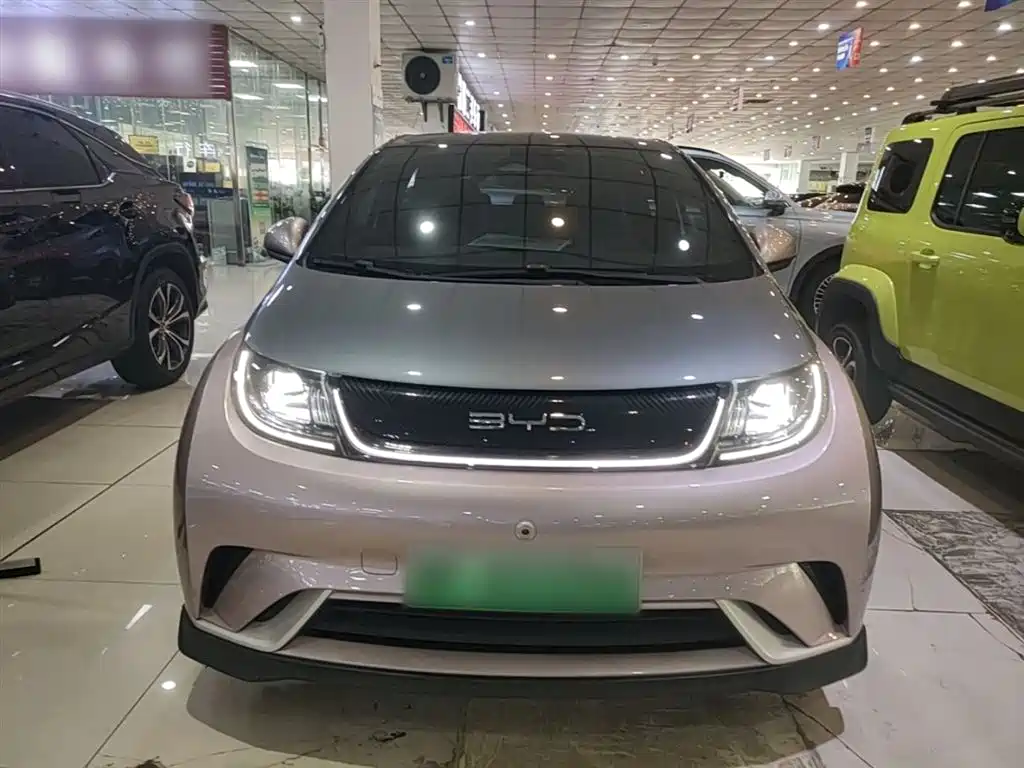 BYD Dolphin 2021 401km Knight Edition фото 3