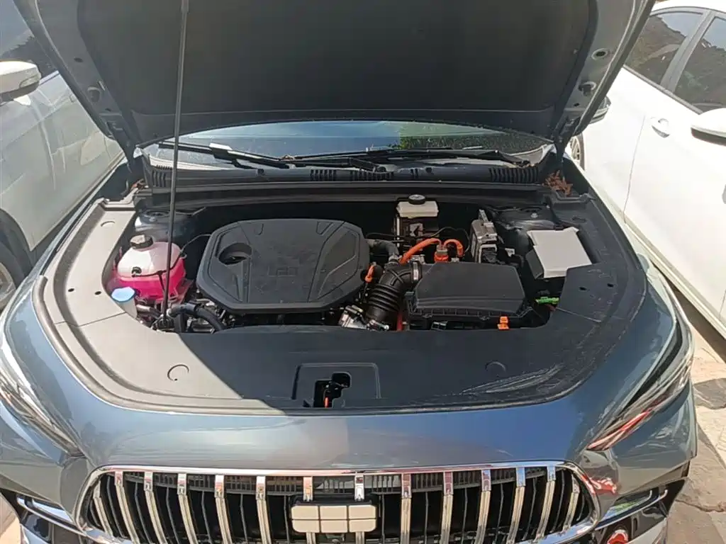 Geely Galaxy Galaxy Stellar 6 2025 Model 125km Free Edition фото 20