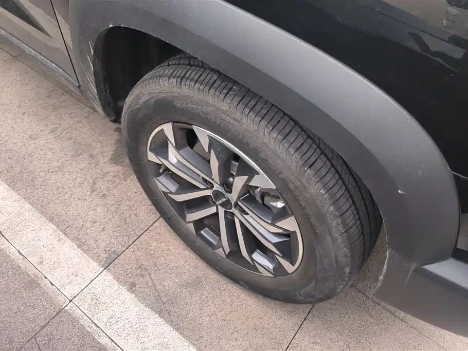 Haval Big Dog 2024 1.5T DCT Border Collie Edition фото 6