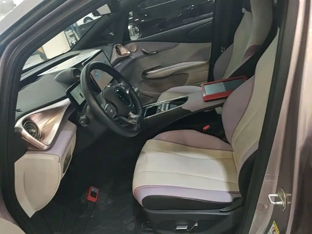 BYD Dolphin 2021 401km Knight Edition фото 15