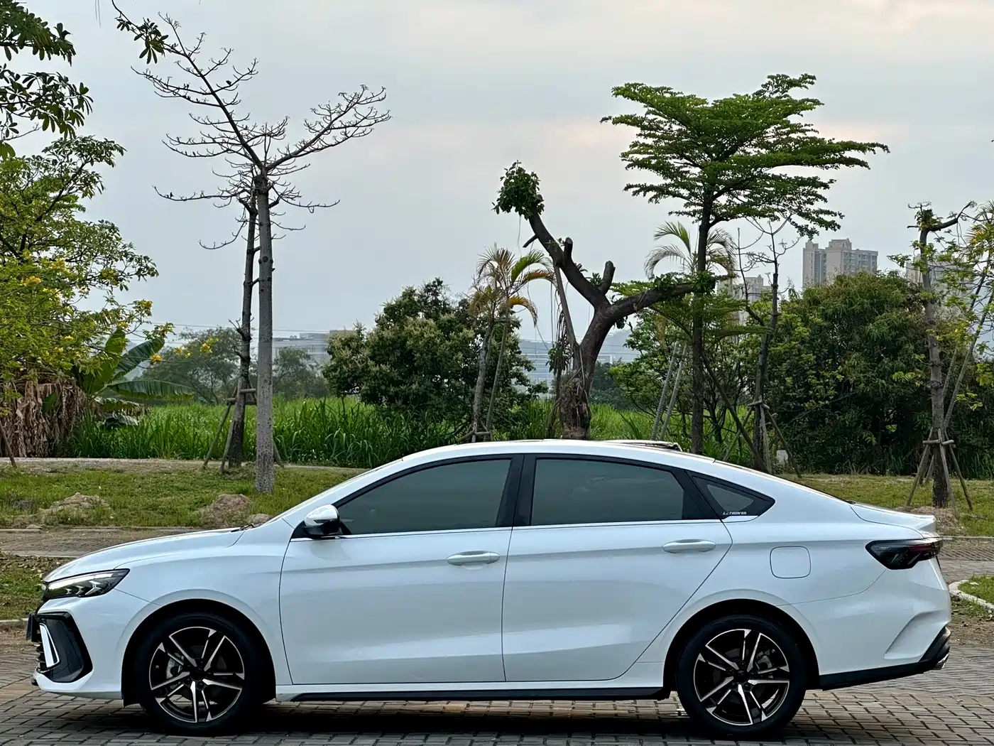 GEELY AUTOMOBILE BINRUI