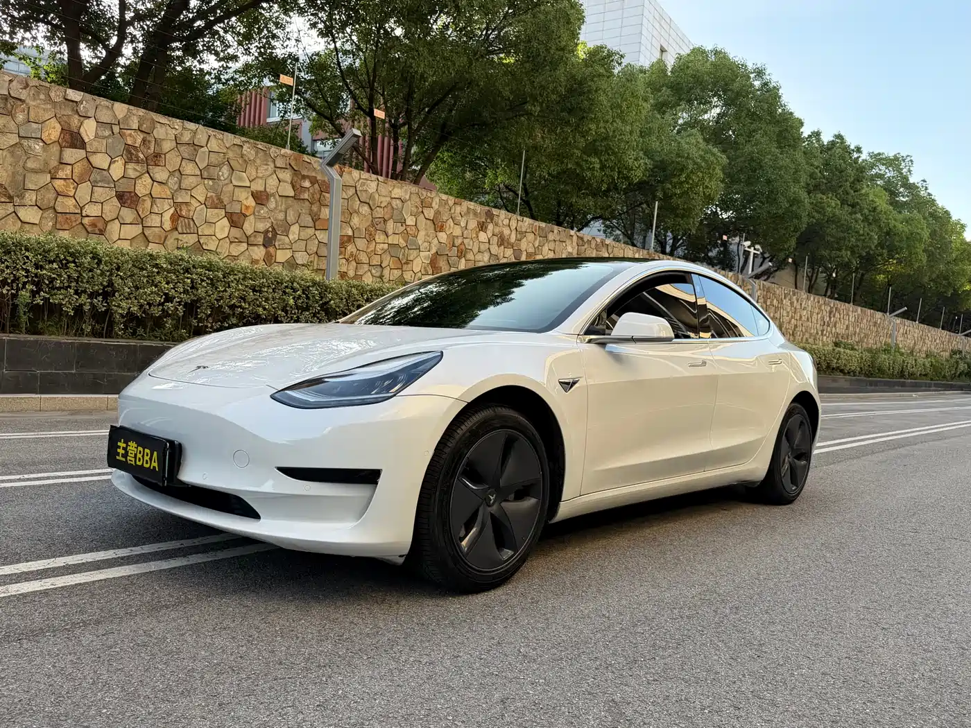 Tesla Model 3 2019 Standard Range Rear-Wheel Drive Upgrade