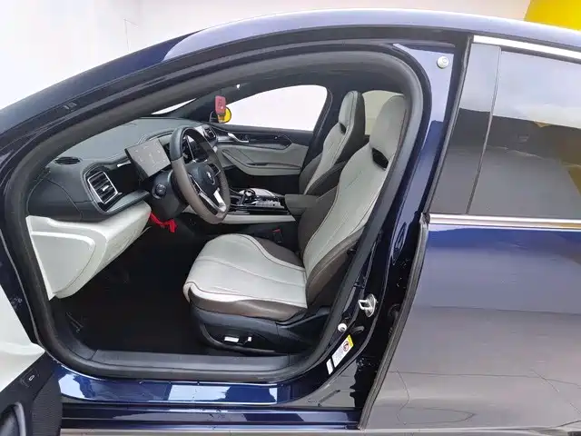BYD Qin PLUS 2023 Champion Edition DM-i 55KM Surpassing фото 7