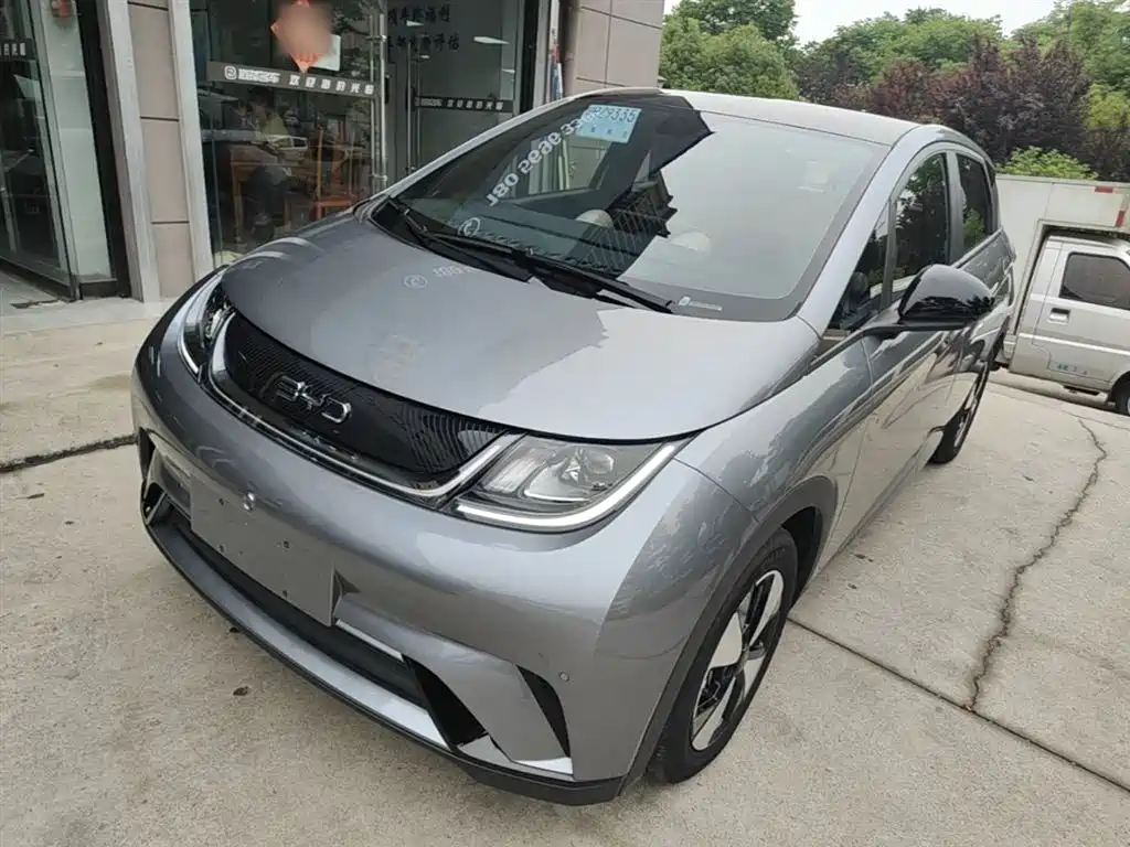 BYD Dolphin 2023 420km Fashion Edition