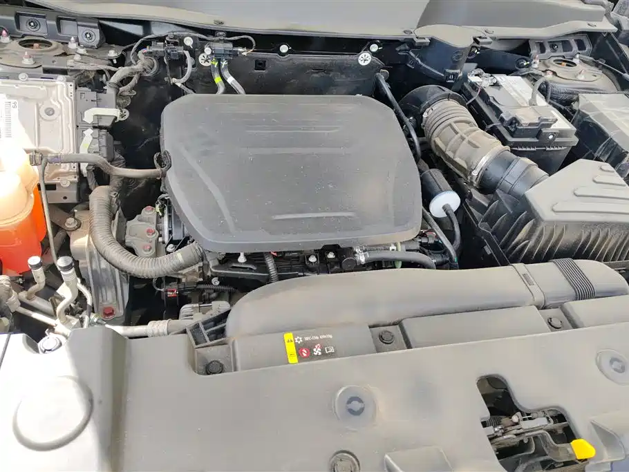 Haval Big Dog 2022 1.5T DCT FWD Border Collie Edition фото 10