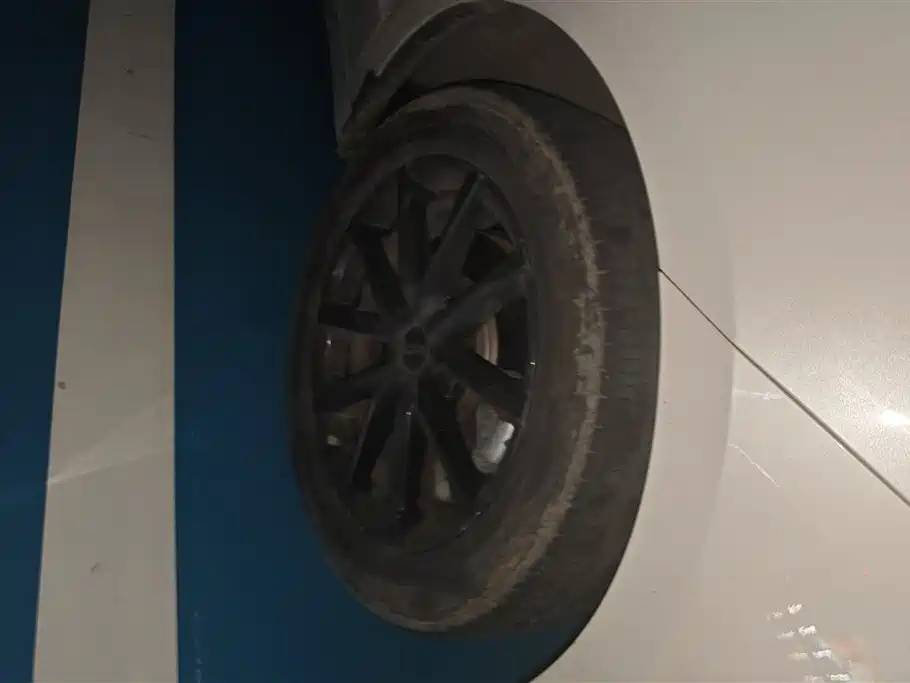 GEELY AUTOMOBILE BORUI