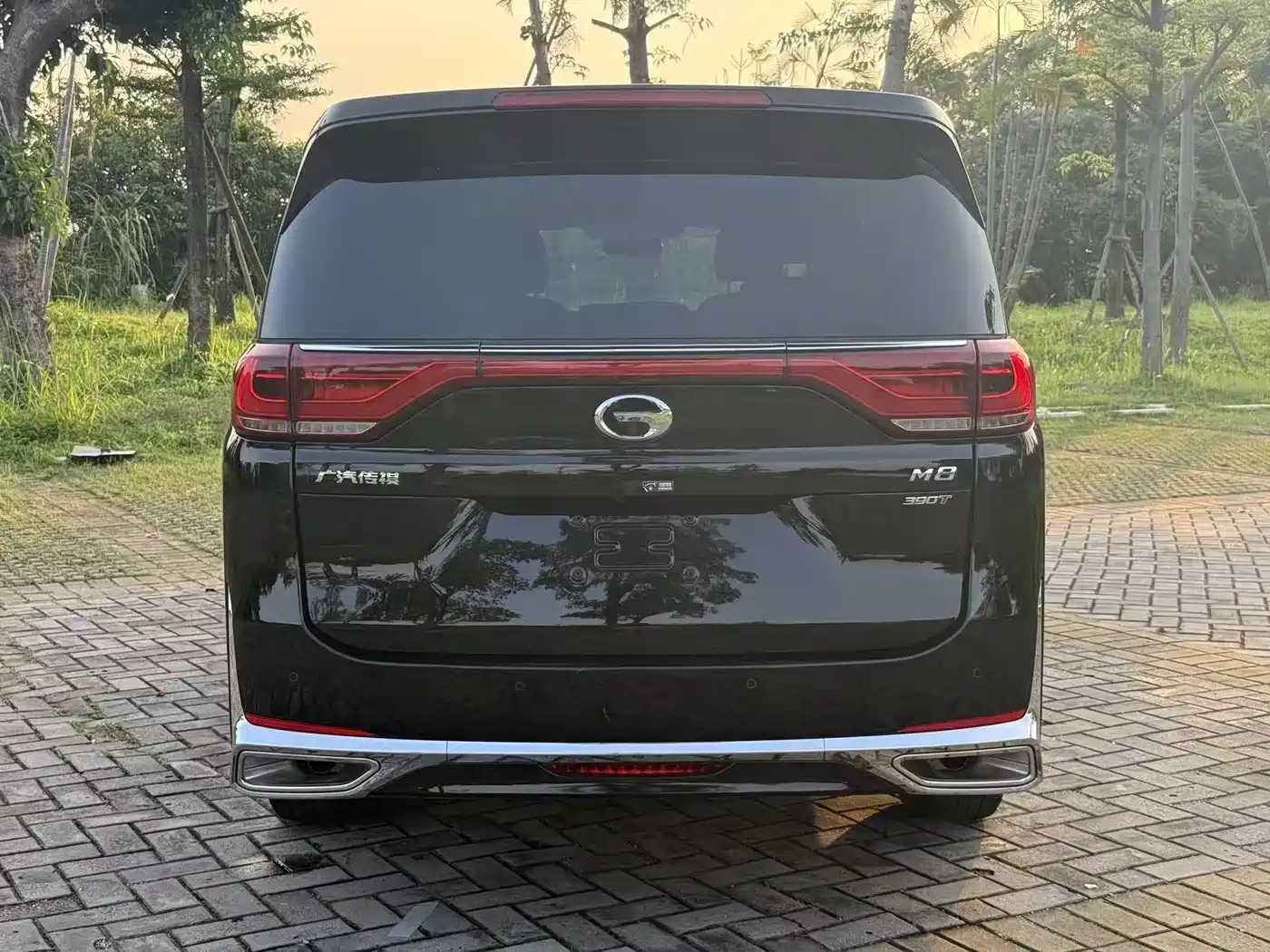 GAC Trumpchi Trumpchi M8 2023 Leading Series 390T Premium Edition фото 12